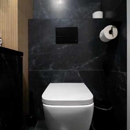 公寓 Liczi 格但斯克