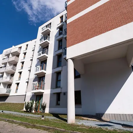 Liczi * 格但斯克